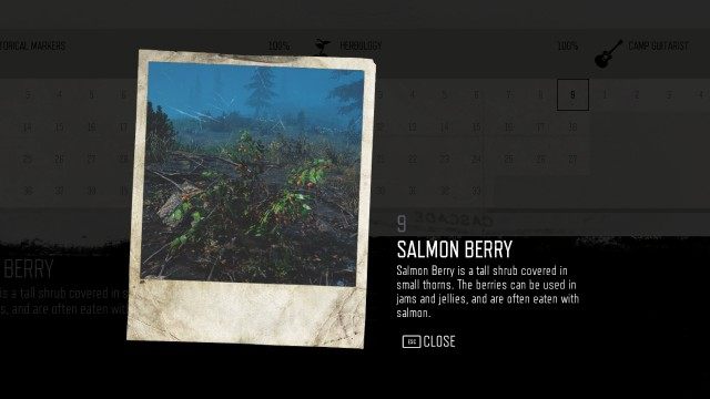 Salmon Berry (Cascade) (#9)