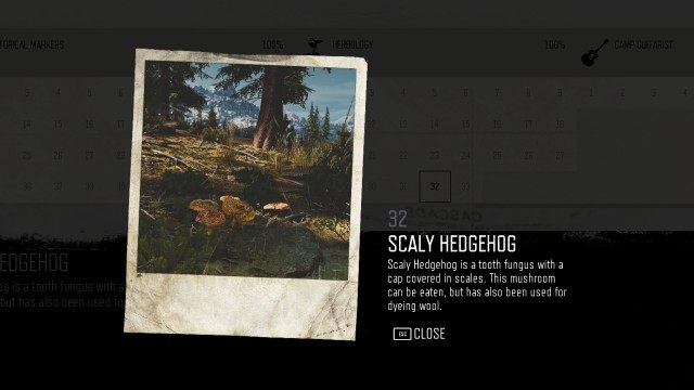 Scaly Hedgehog (#32)