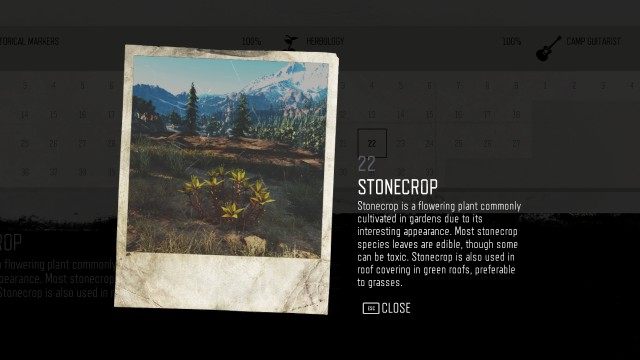 Stonecrop (Belknap) (#22)