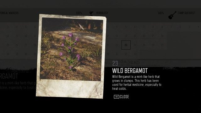 Wild Bergamot (Cascade) (#23)