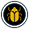Golden Trove Beetle