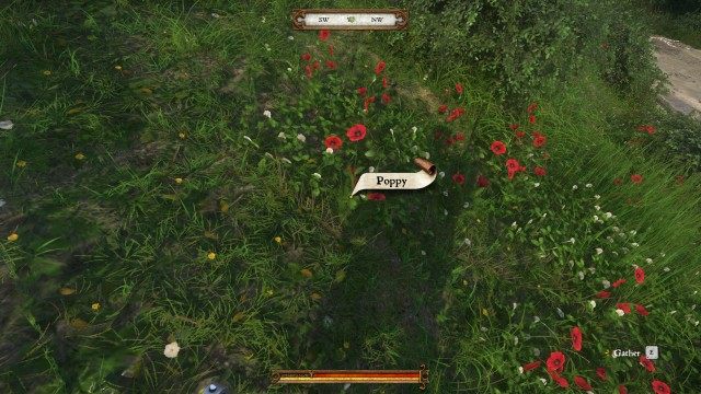Collect 10 poppies. (0/10)